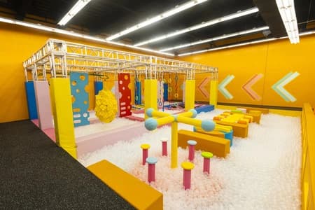Jungle Gym